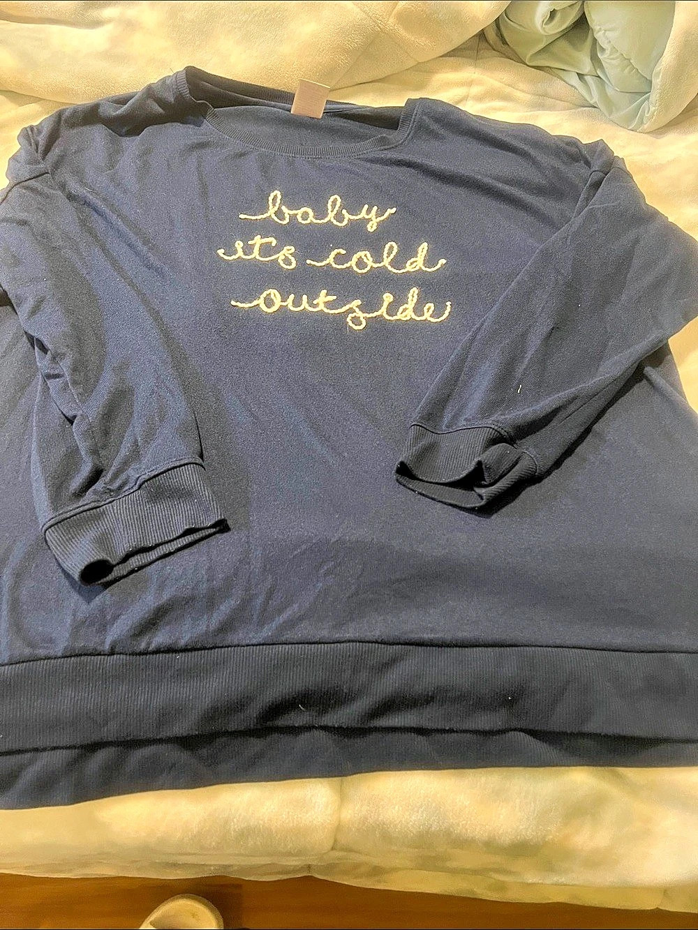 Secret Treasures Baby It's Cold Outside Embroidered long sleeve Blue 3x